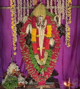 Festival and Events at Sree Veera Hanuman Temple