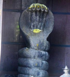 Festival and Events at Sree Veera Hanuman Temple