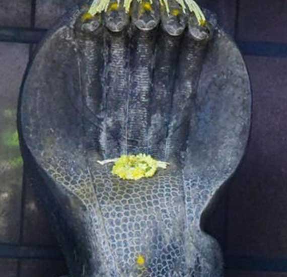 Sree Veera Hanuman Temple